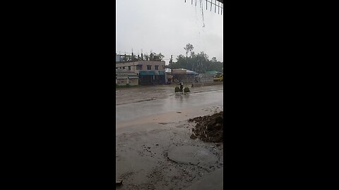 "Bent with the weight of age, yet the rain shows no pause."