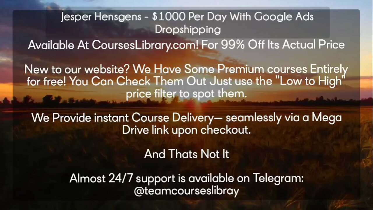 (courseslibrary.com)Jesper Hensgens - $1000 Per Day With Google Ads Dropshipping