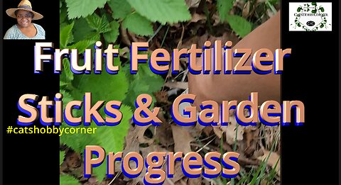 Fruit Fertilizer Stick & Garden Progress - #catshobbycorner #gardening