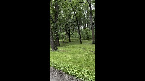 Blennerhasset Mansion back yard view 2