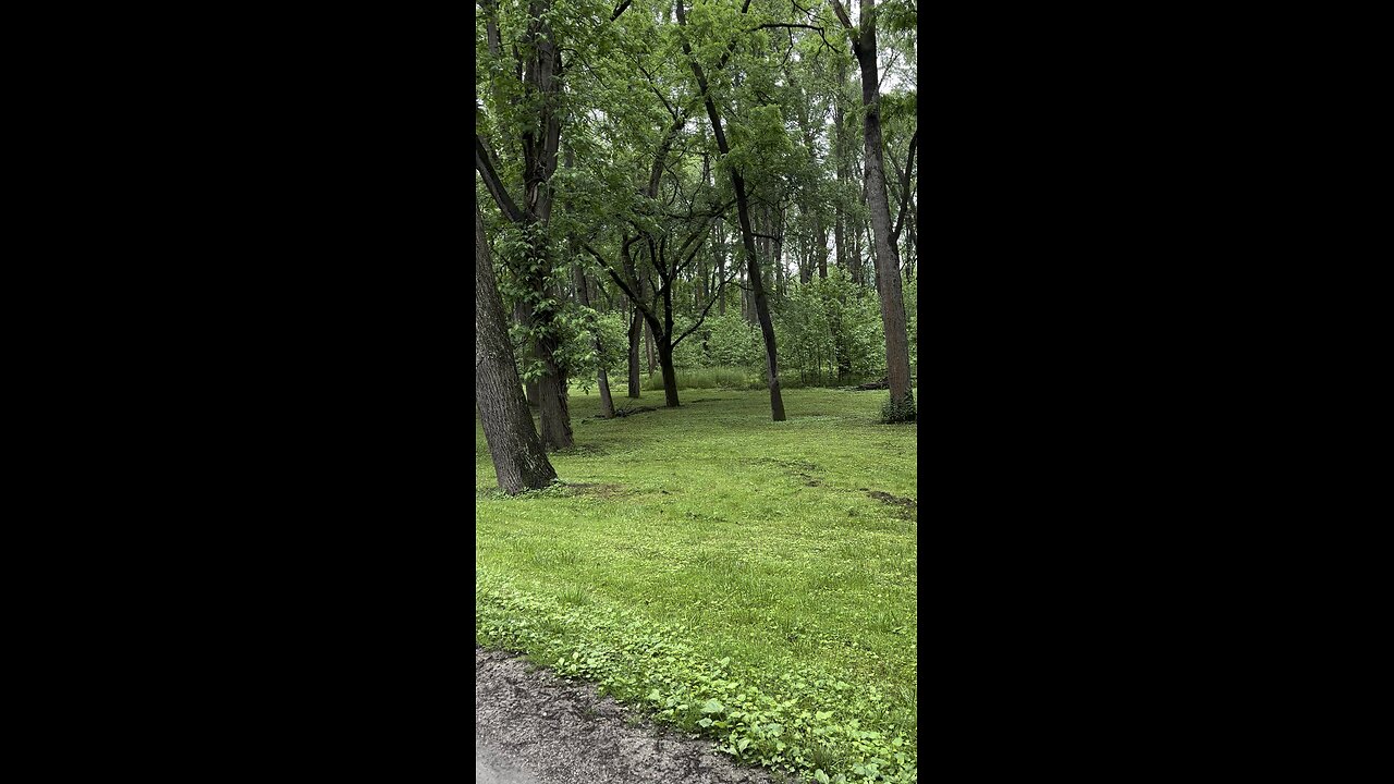 Blennerhasset Mansion back yard view 2