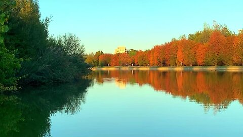 Relaxing music for Healing Minding / The charm of the natural ambience at sunset #relaxing #Calm