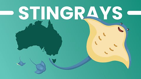 STINGRAYS ! Is Australia Really That Dangerous?