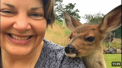 The Moment Animal Choose To Trust You 🤣 Cute Animal Videos 2025