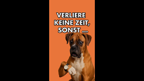 😱 Diesen Fehler beim Füttern macht fast jeder Hundehalter!