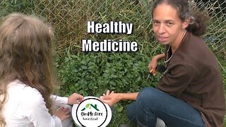 Easy DIY Herbal Oil Anyone Can Make!