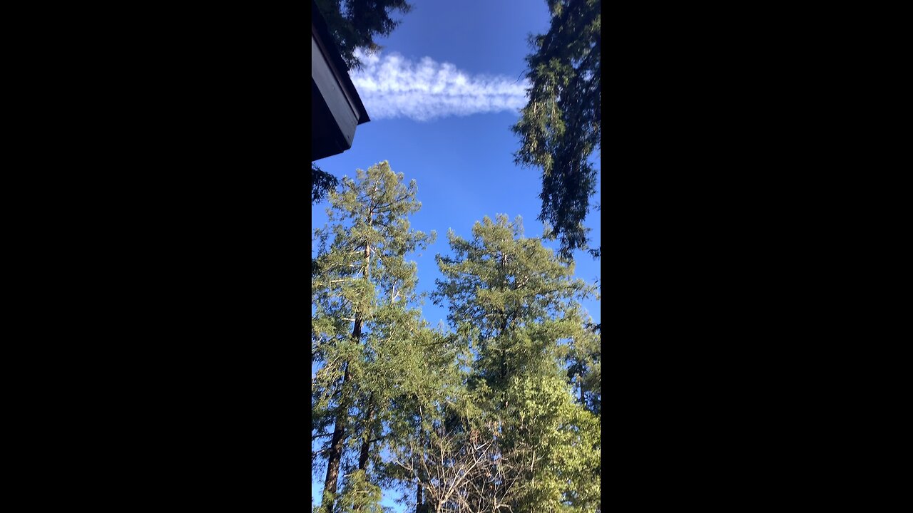 Chemtrails and dogshit. Oh joy