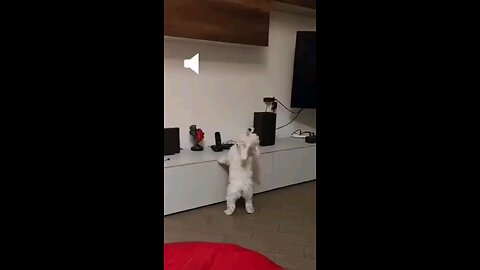 फोन अटेंड कर रहा है