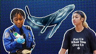 The WNBA Has Demands, TSA Loosens Up, and NYC Has a Whale Whisperer - MC04