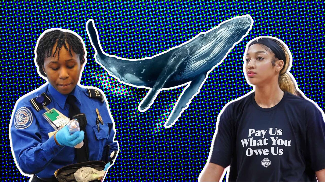 The WNBA Has Demands, TSA Loosens Up, and NYC Has a Whale Whisperer - MC04