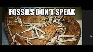 Fossils are evidence of a global flood