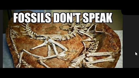 Fossils are evidence of a global flood