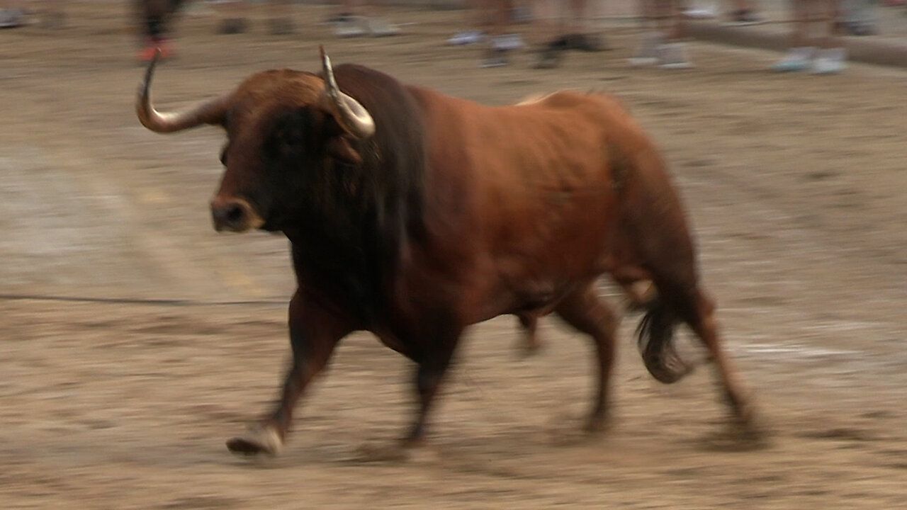 2025 08 03 LA VALL D'UIXÓ EL SOLIVO, SAMUEL E ISABEL FLORES