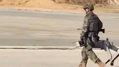 "Meet Rin Tin Robot: The Future of Military Dogs with Machine Gun Capabilities"