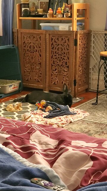 When you can't stay awake