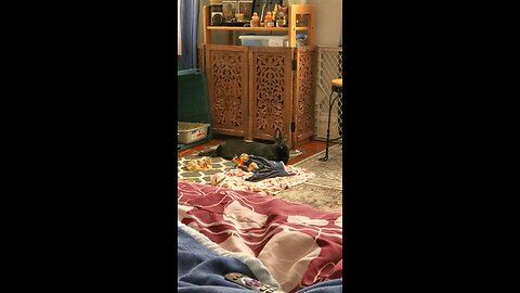 When you can't stay awake
