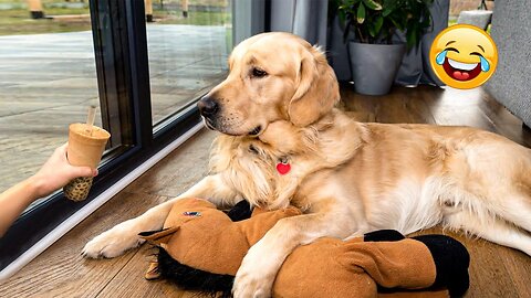 2025’s Funniest Dogs & Cats 😂 You Won’t Stop Laughing! | You Laugh You lose 😍😸😹 #Ep97