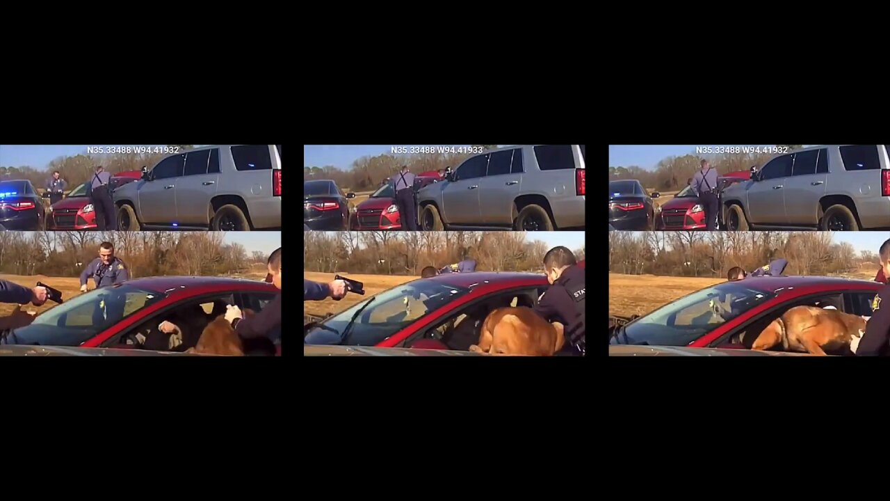 K9 DOG makes the situation worse