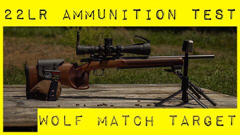 22 LR Ammunition Testing: Wolf Match Target