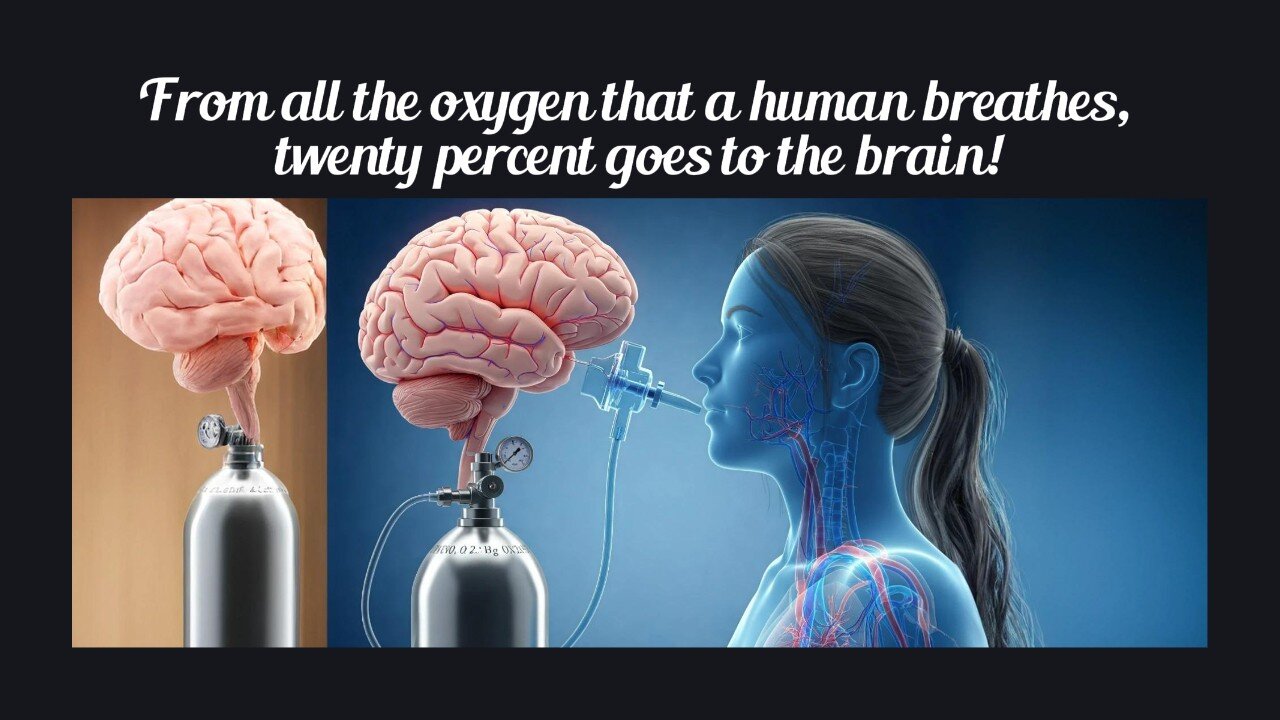Fun Fact for Apr 18th 2025 Pt 2