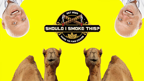 HUMP DAY CIGAR LIVE! ASK QUESTIONS, TURKEYS!