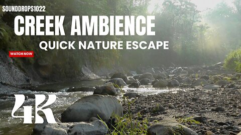 5 Minutes of Creek Ambience : Quick Nature Escape