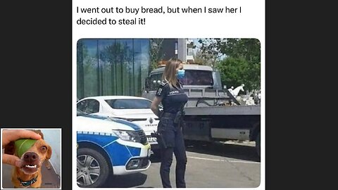 Memes That Will 99.0249% Make You Laugh. (e473)