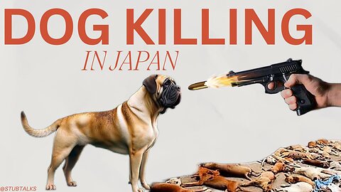 “The Dark Reality of Dog Slaughter in Japan | Hidden Truths”