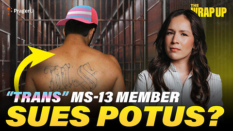 Paid Protesters Surge in D.C., Border Walls Brought Back, MS-13 Member Sues POTUS: 8/15/25