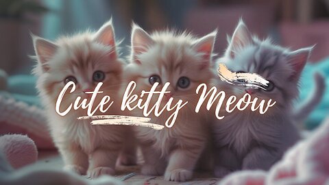 Cute kitty meow sound