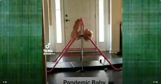 Updated footage of black eyed pandemic babies, also with some previous footage. (WOW)