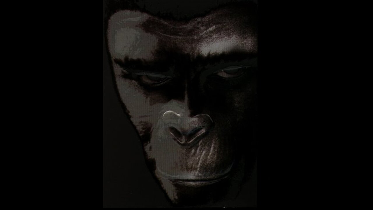 Planet of the Apes-Charlton Heston, Roddy McDowall, Kim Hunter, Linda Harrison-1968 IMDB 8/10