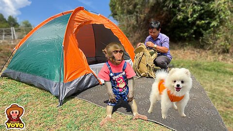 Monkey YiYi is excited when grandpa takes her and DoDo puppy go to camping