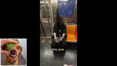 A little bit of everything series (episode 9: LOTR stuff)