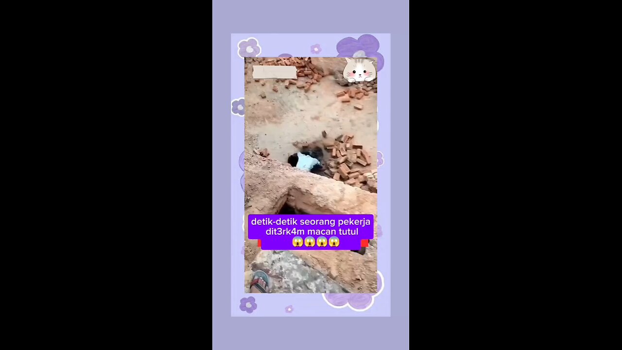 leopard attack people