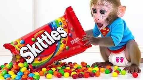 Monkey Baby Bon Bon Goes to Buy Giant Skittles Candy and Eats Watermelon with Puppy in the Garden