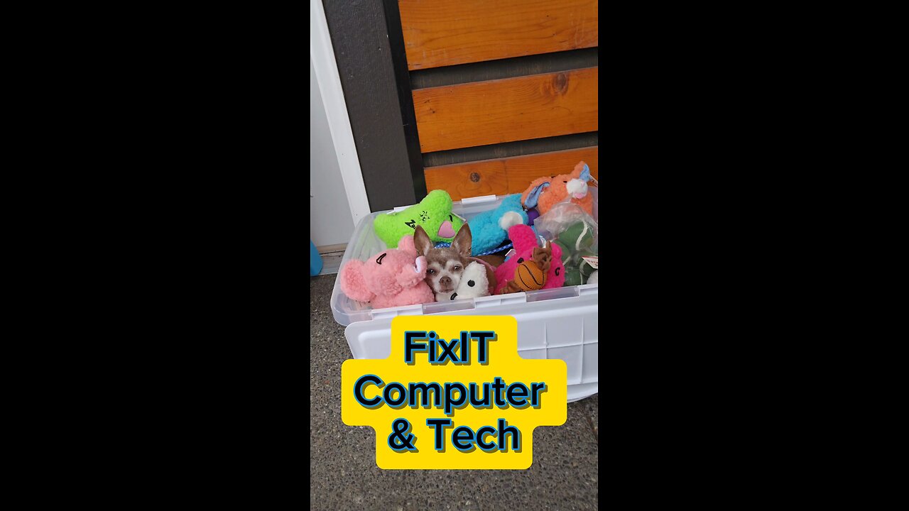 🐾 Pet Posse Fundraiser | Cute Dog + Tech Helping Lost Pets