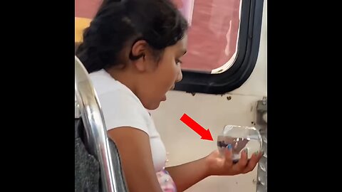 Una niña ‘lucha’ por sostener a su mascota durante un viaje en autobús
