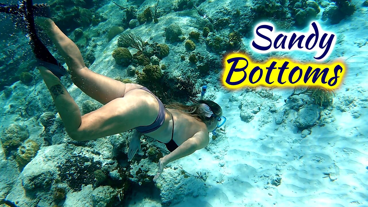SDA181 Sandy Bottoms