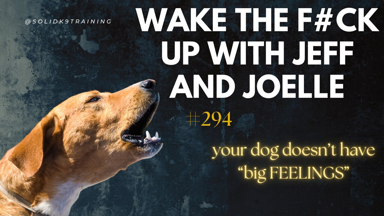 Wake the F#CK up w/Jeff & Joelle #294- your dog does not have big feelings