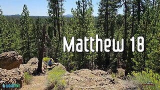 Matthew 18, Bible Reading in Nature, BSB