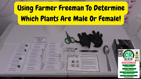 CR's 2025 Spring Grow - Cutting Leaves to send to Farmer Freeman DNA Sex Testing Company!