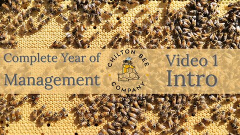 Series Intro: Complete Year Of Management