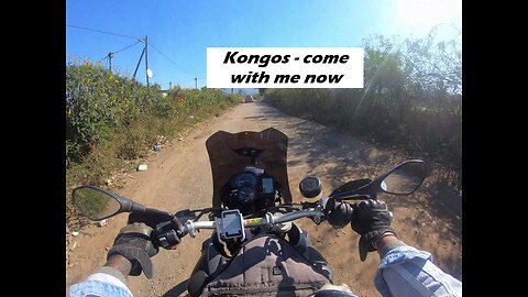 KONGOS - Come with Me Now
