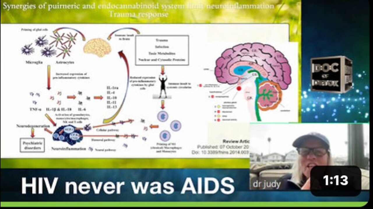 HIV never was AIDS