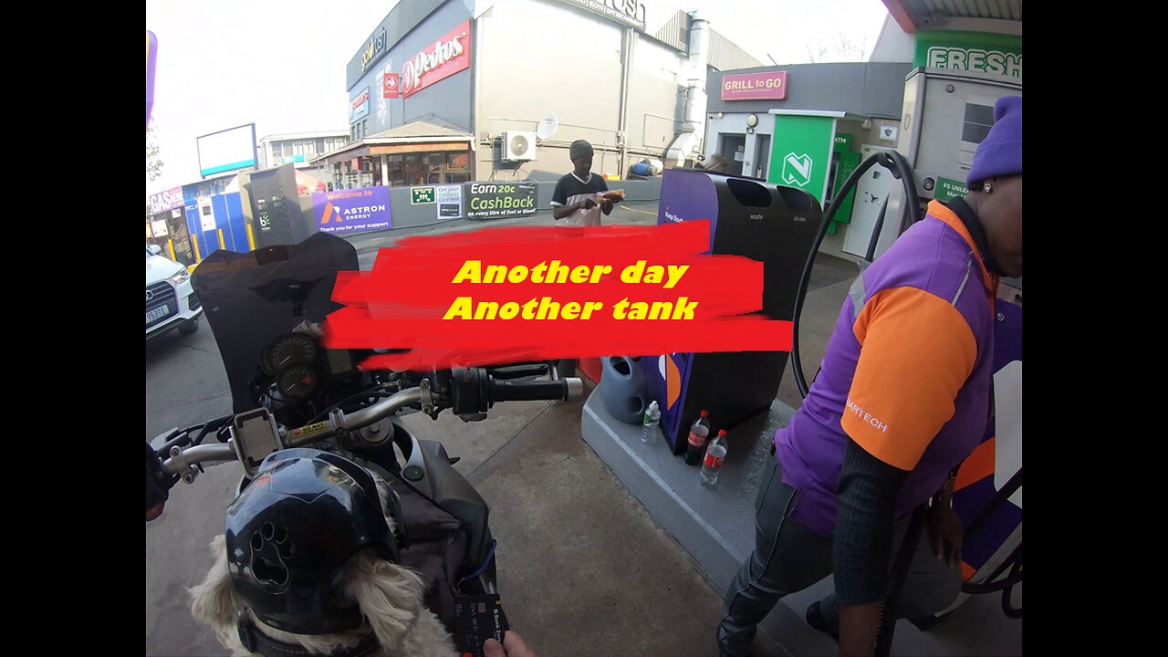 Another day another tank #africa #jontyk9