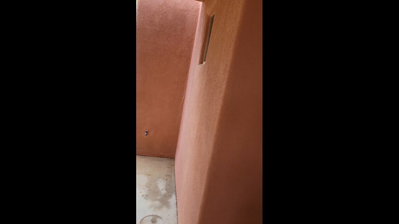 This 🦉 was done with me!