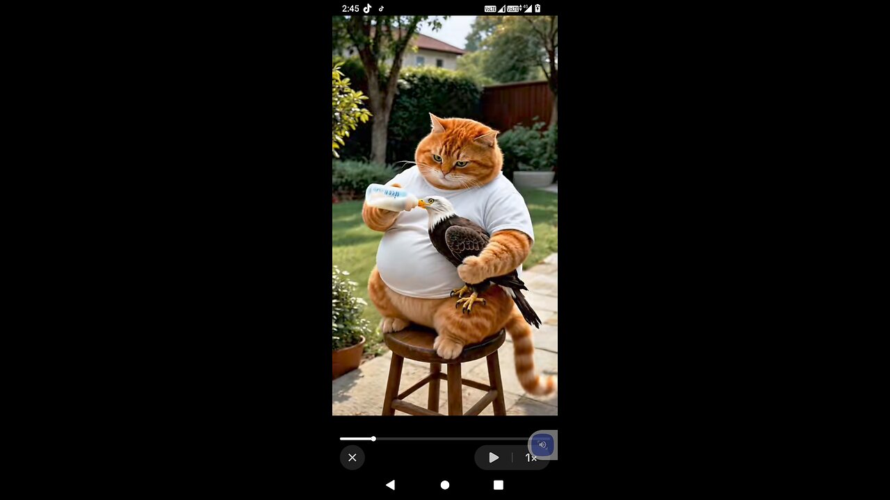 funny video short