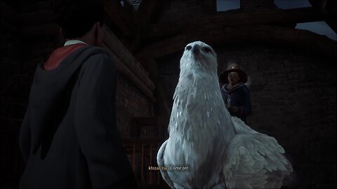 Hogwarts Legacy 🇵🇰