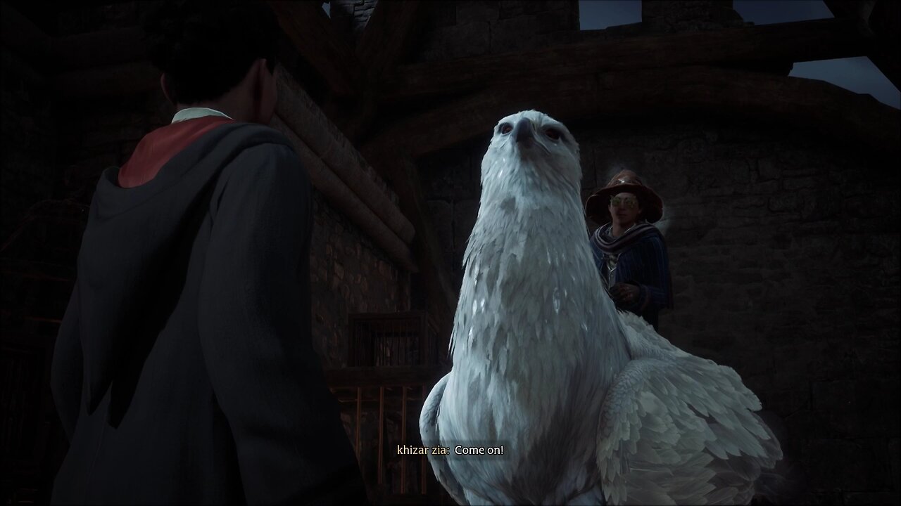 Hogwarts Legacy 🇵🇰